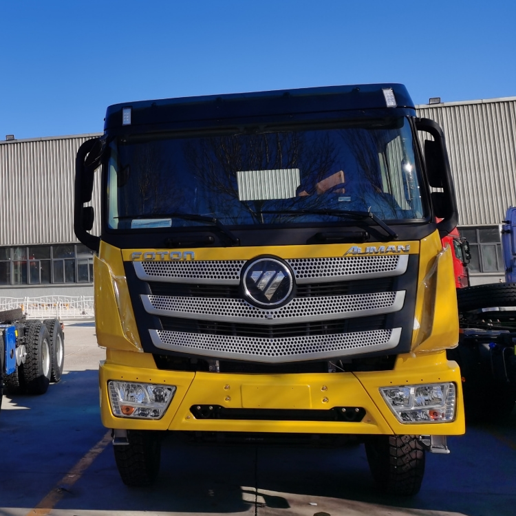 Auman EST 8x4 12 Wheeler Dump Truck